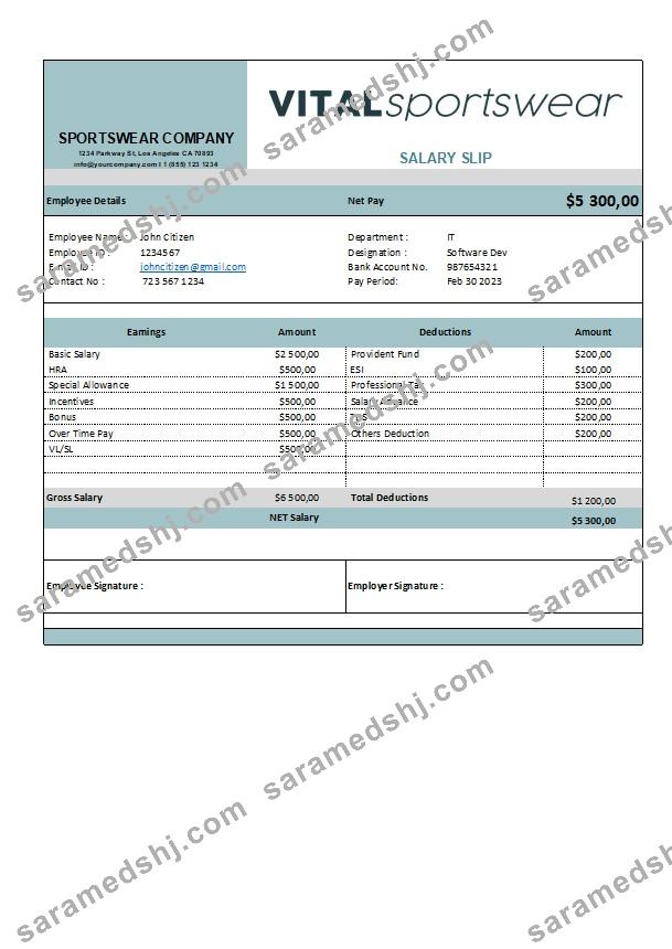 sportswear company earning statement template in Excel and PDF formats